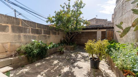 Foto 3 de Casa o chalet en venta en Campos poble, Campos