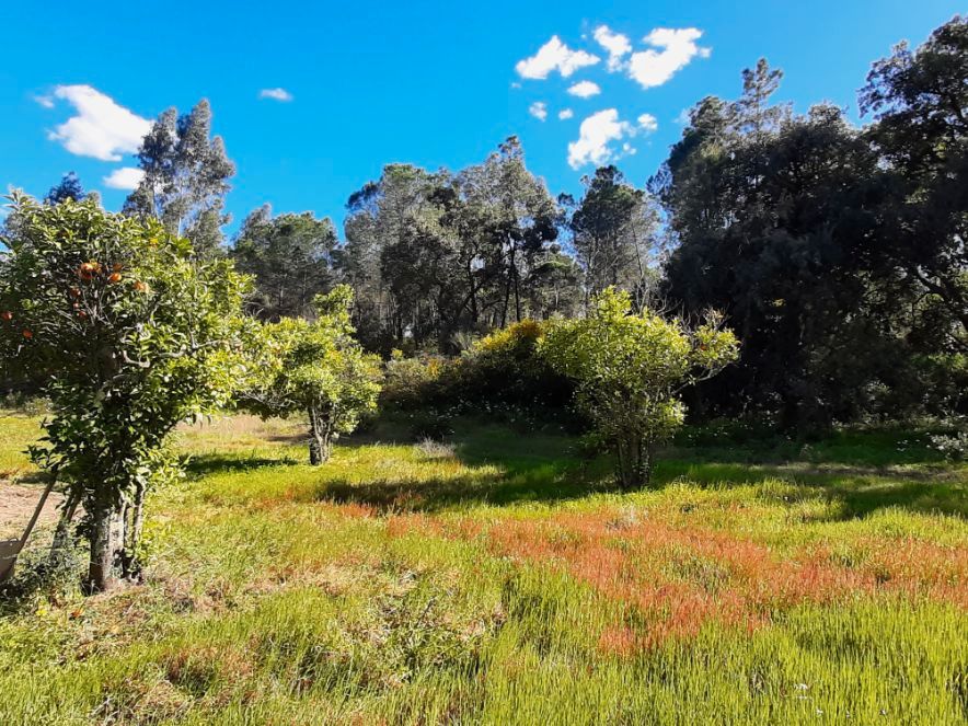 Land for sale in Villablanca