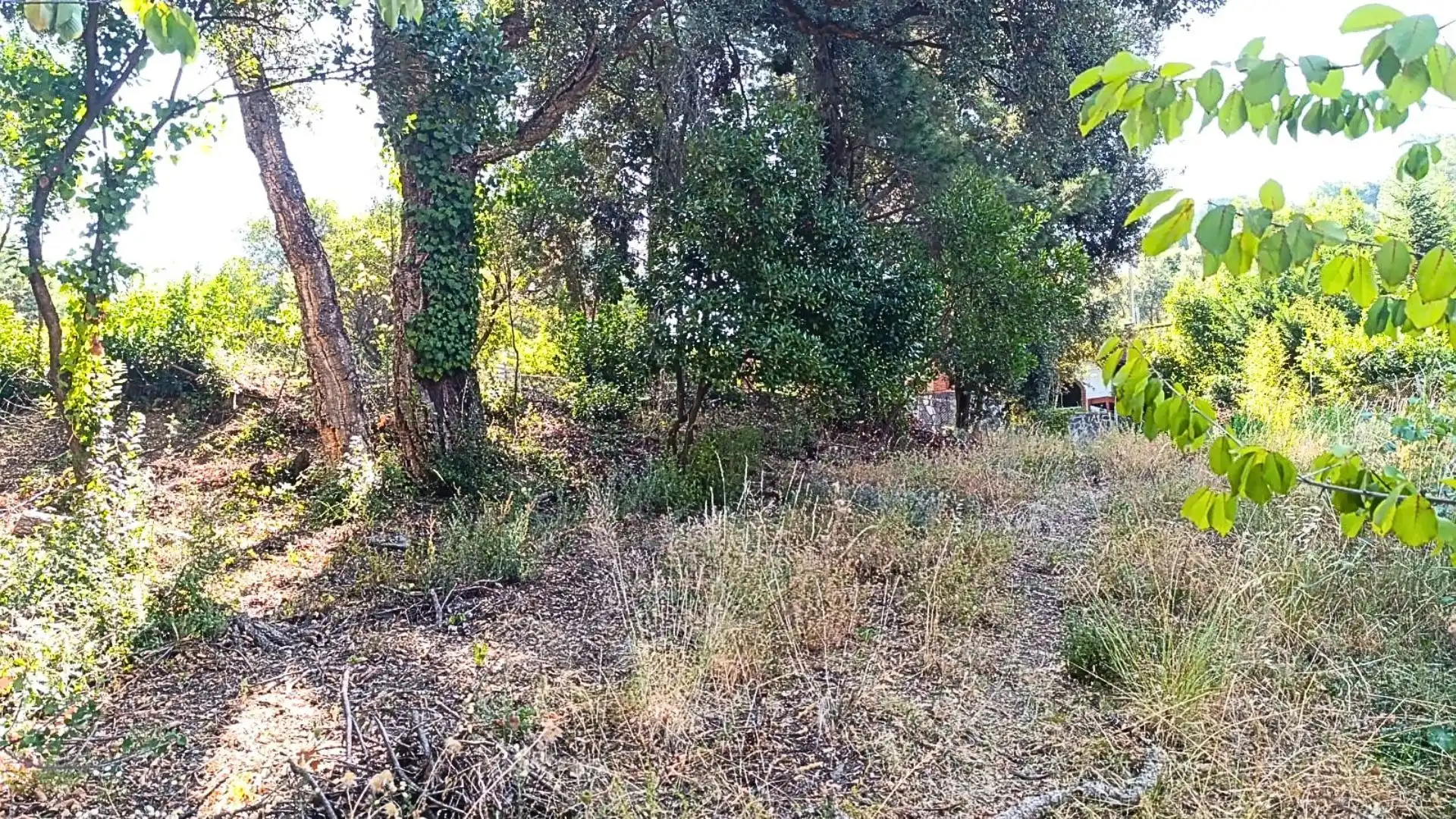 Rural land for sale in Calle Fredolic, imagen 7