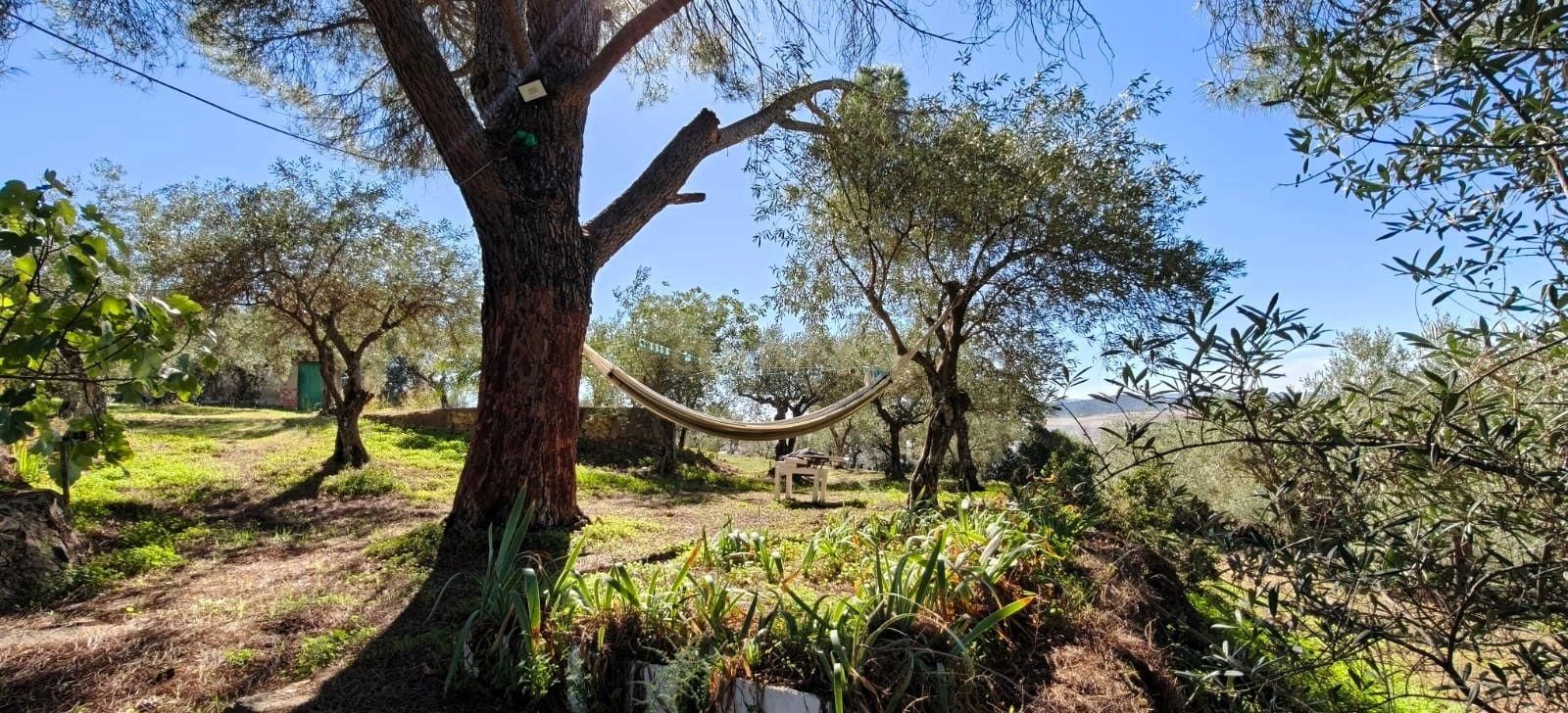 Garden of House or chalet for sale in Cáceres Capital  with Private garden and Swimming Pool