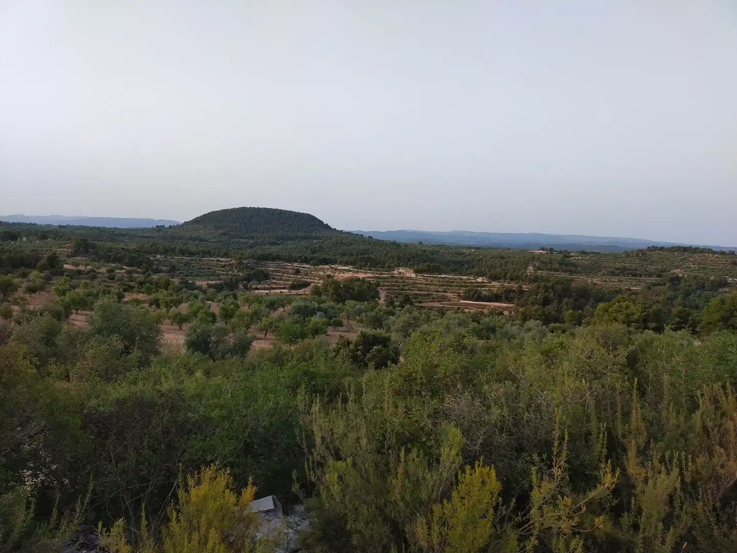 Terreno rústico en venta en Cervià de Les Garrigues, imagen 16