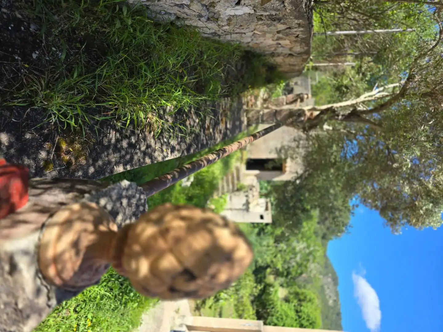 Jardí de Casa o xalet en venda en Mancor de la Vall amb Terrassa, Traster i Piscina