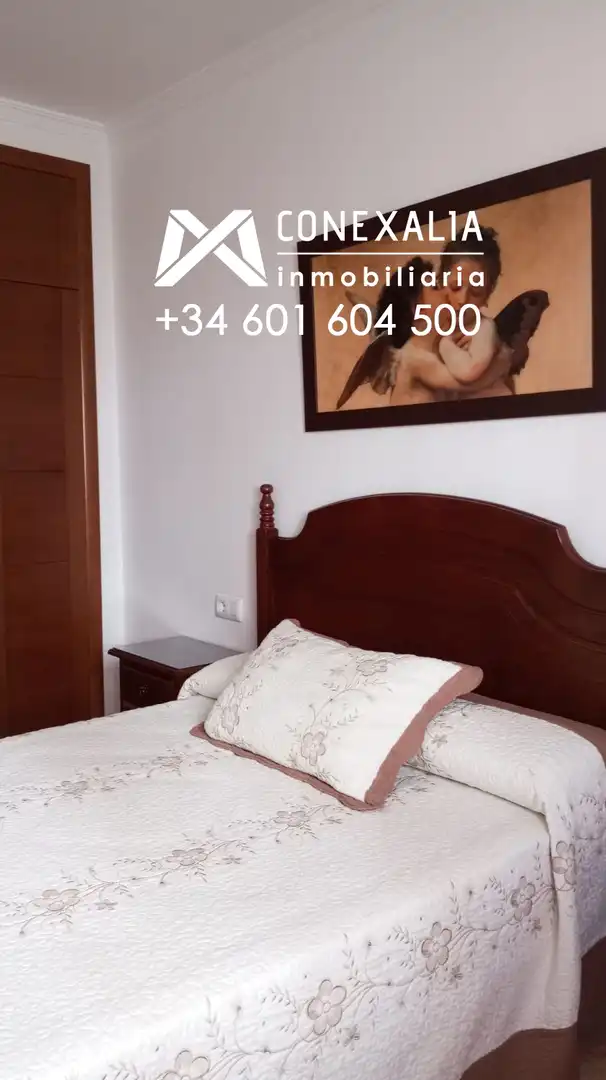 Casa con terrazza in vendita a Olvera, imagen 32