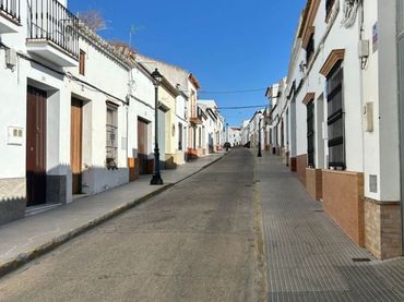 Haus zum Verkauf in Bollullos Par del Condado