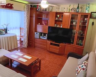 Living room of Flat for sale in Málaga Capital  with Heating and Terrace