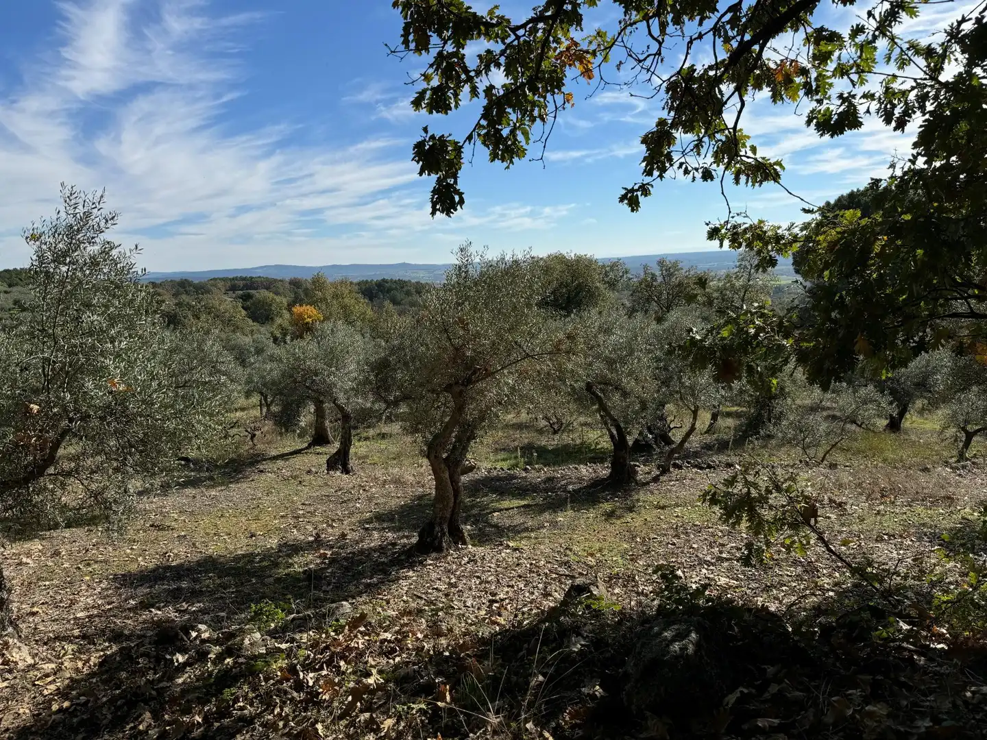 Finca rústica en venta en Candeleda con Jardín privado