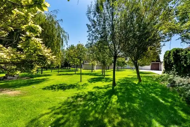 Vista exterior de Casa o chalet en venta en Mamblas con Jardín privado, Terraza y Amueblado