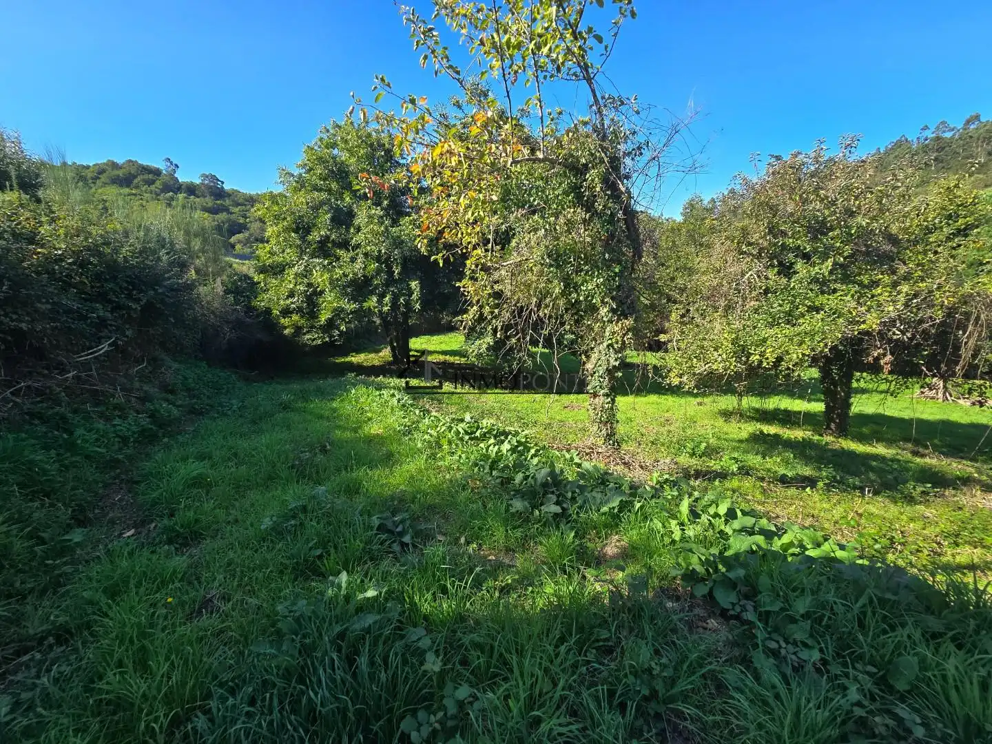 Casa o xalet en venda en Cerdedo amb Jardí privat