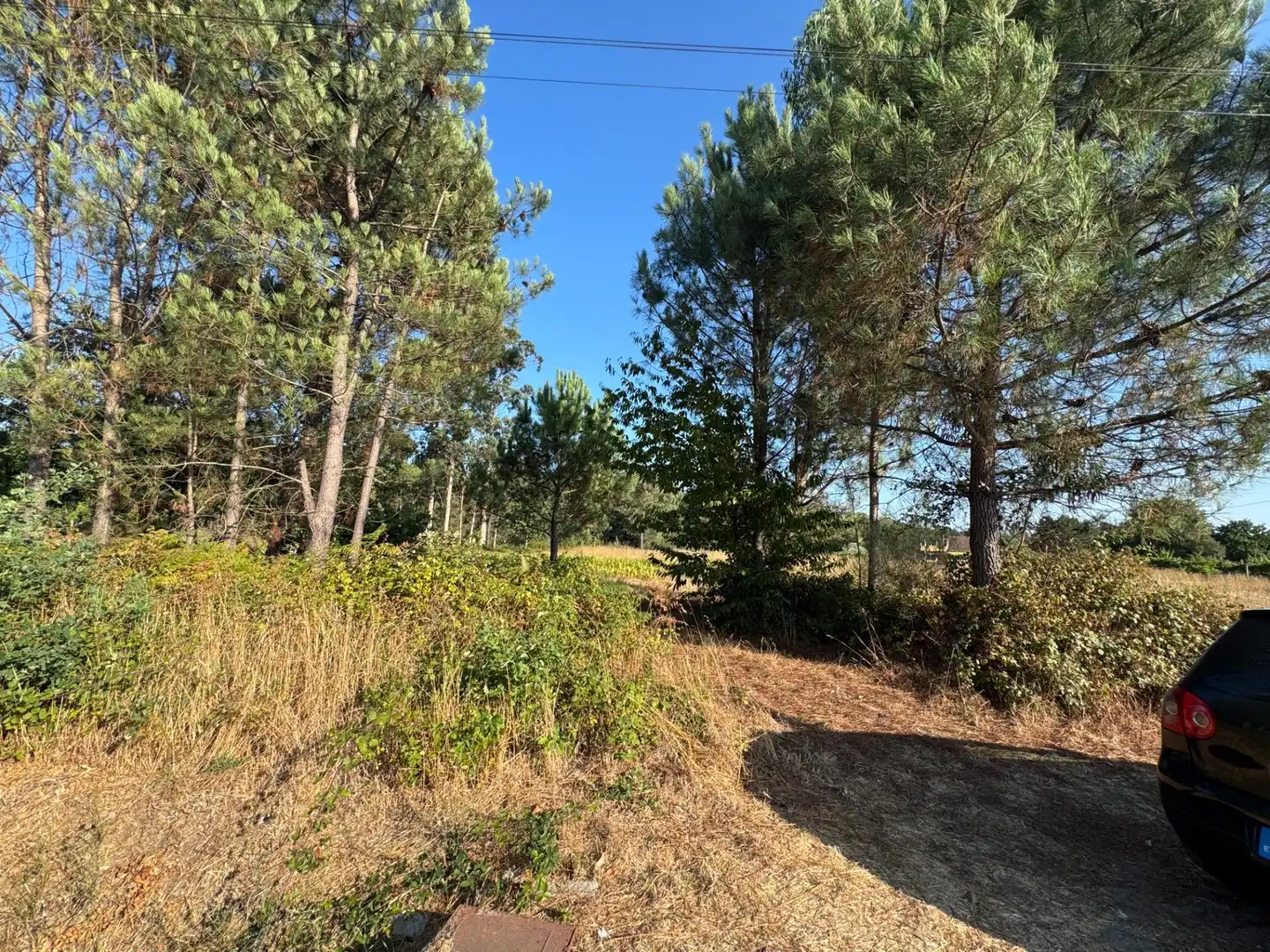 Terrenos y solares en venta en Lugar de Costeira
