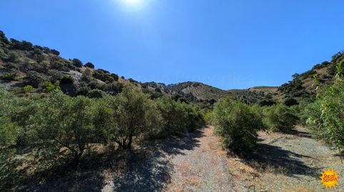 Foto 2 de Finca rústica en venta en Vélez-Rubio, Almería