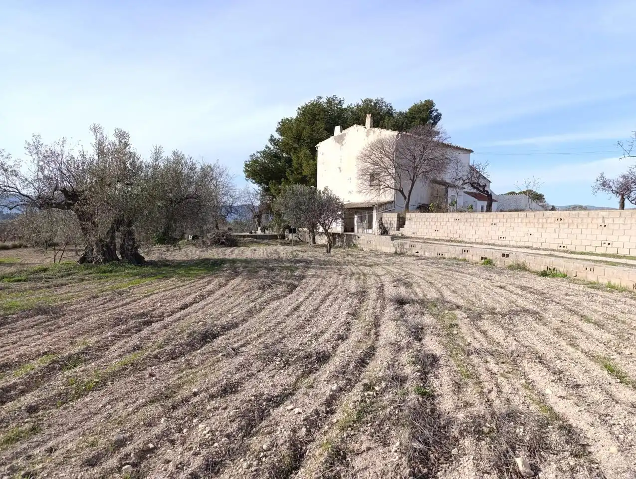 Finca rústica en venta en Ibi
