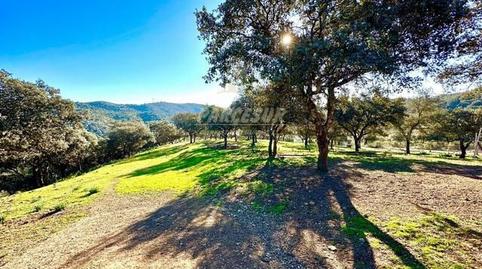Photo 3 of Country house for sale in Obejo, Córdoba