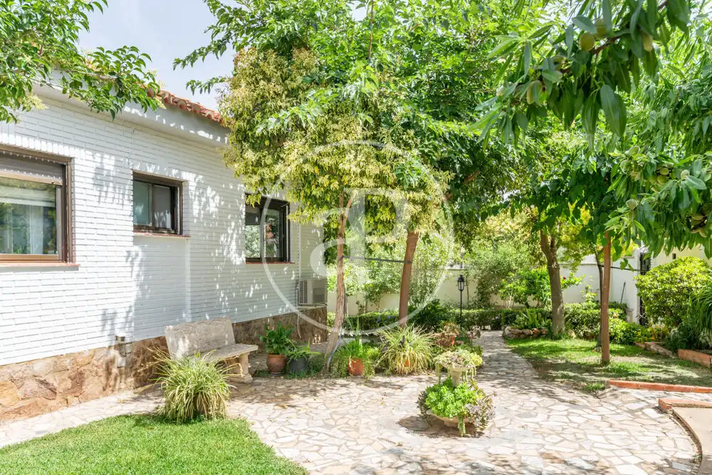 Jardín de Casa o chalet en venta en Chiva con Aire acondicionado, Calefacción y Jardín privado