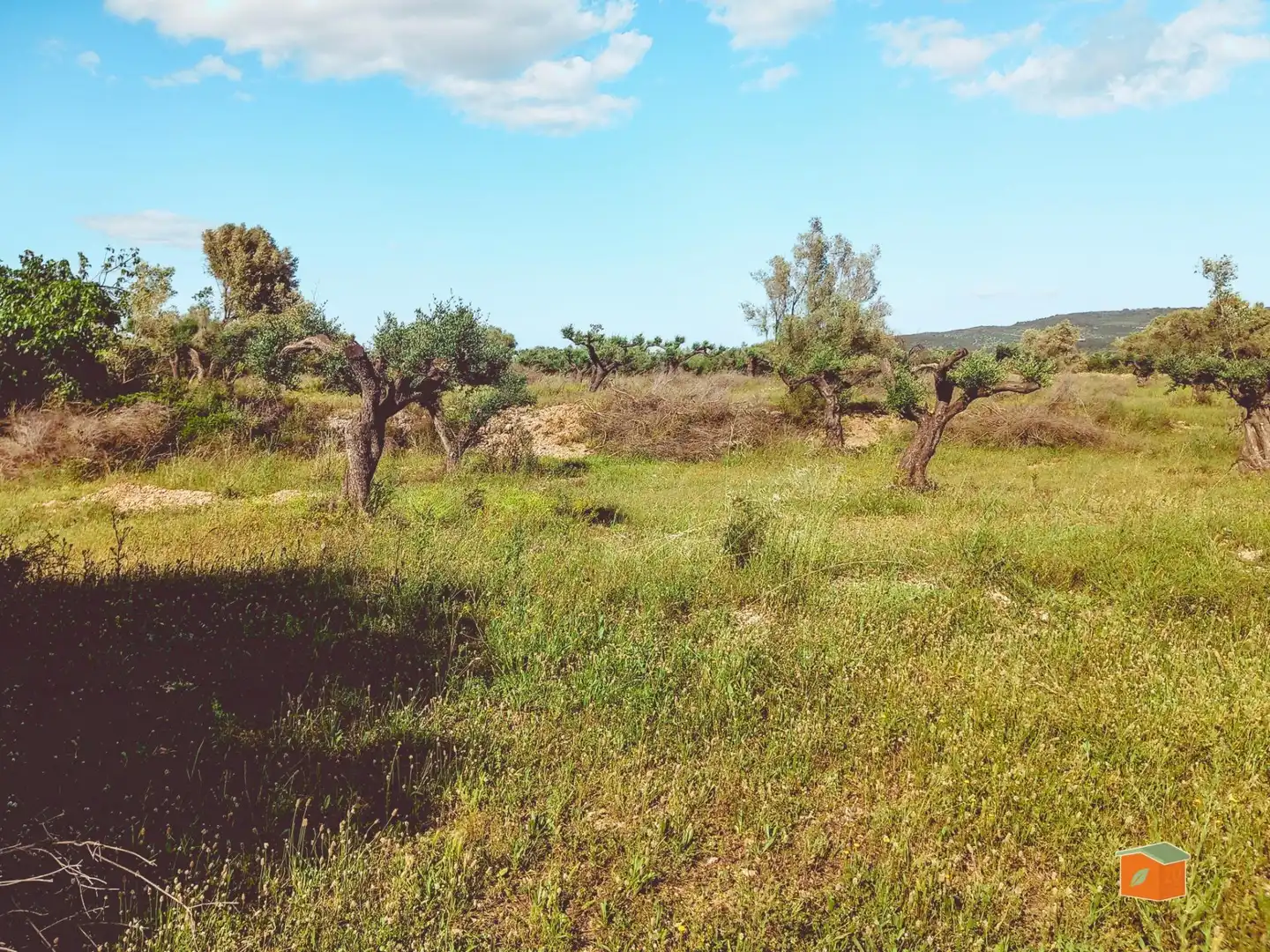 Terreny rústic en venda a Ulldecona