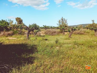 Rural land for sale in Ulldecona