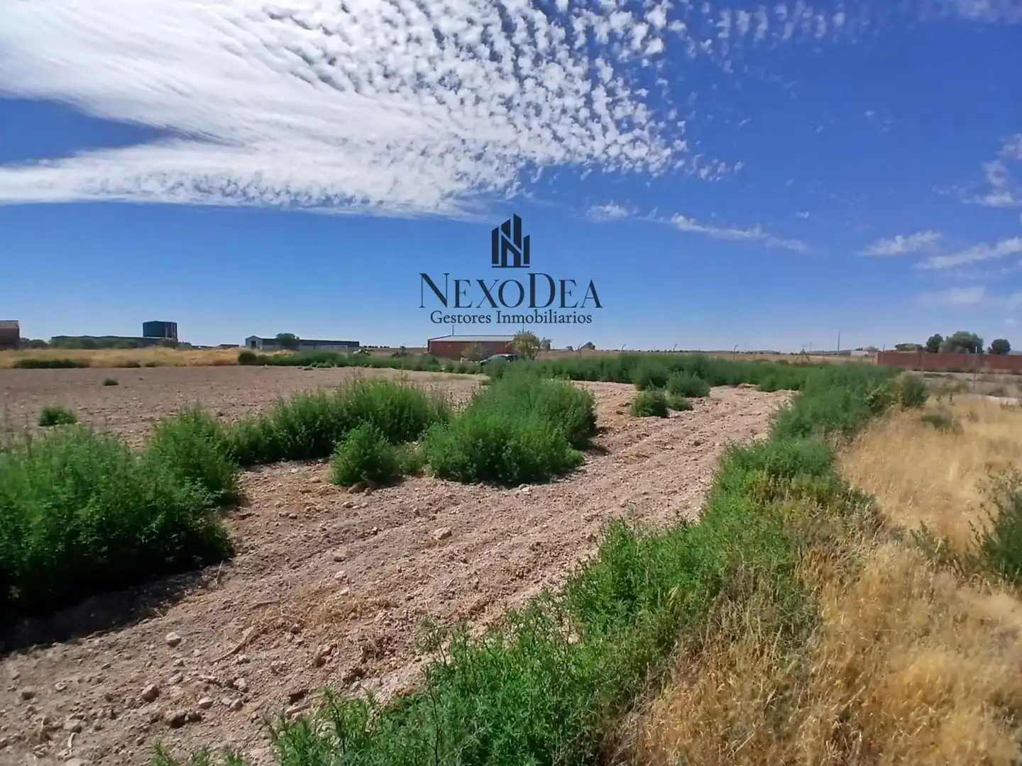 Terreno rustico in vendita a Julián González, imagen 15