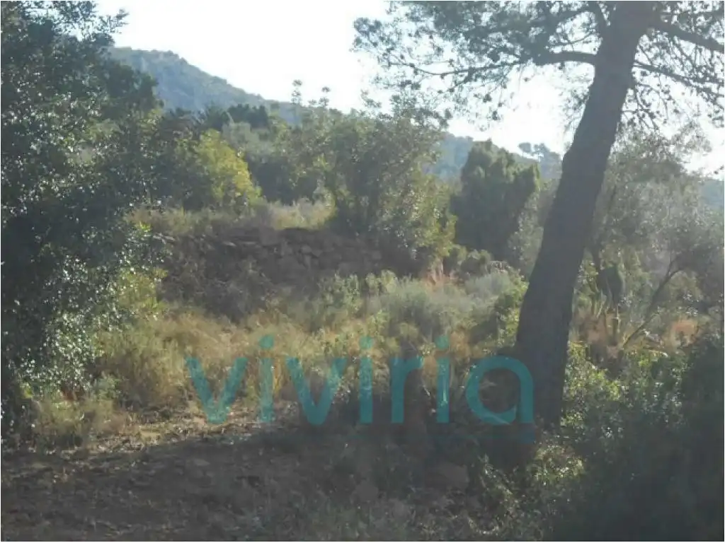 Terreno residencial en venta en Calle Canteres (Les), imagen 2