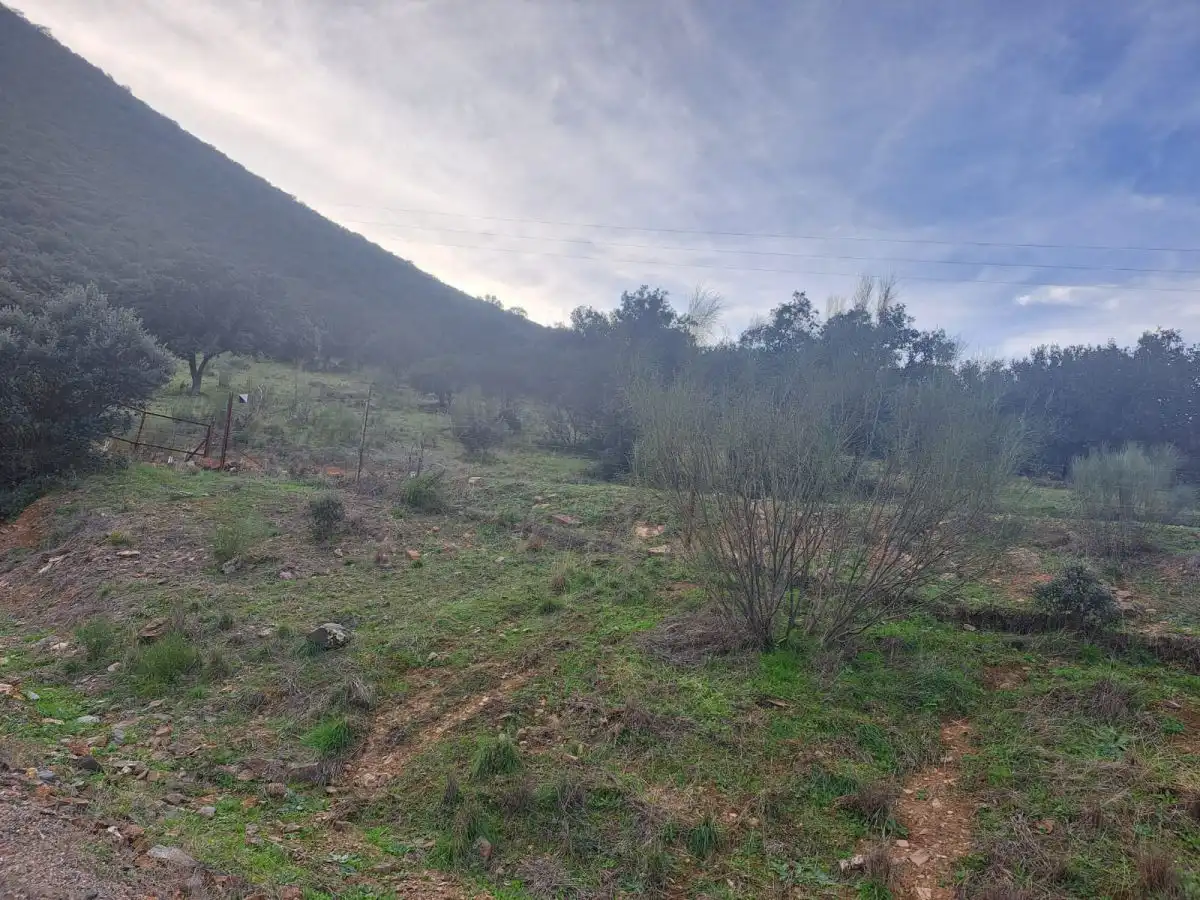Finca rústica en venta en Villar del Pozo
