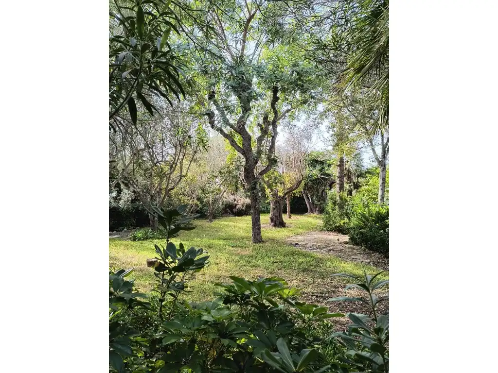 Casa o chalet en venta en Pollença con Aire acondicionado, Terraza y Amueblado