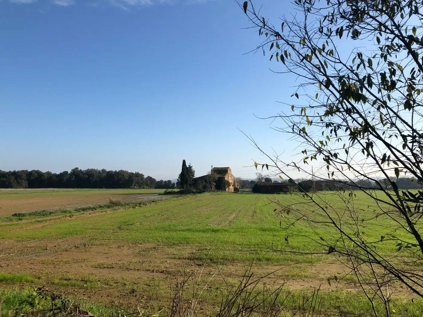 Finca rústica en venda a Carrer Sant Isidre, 2, Corçà