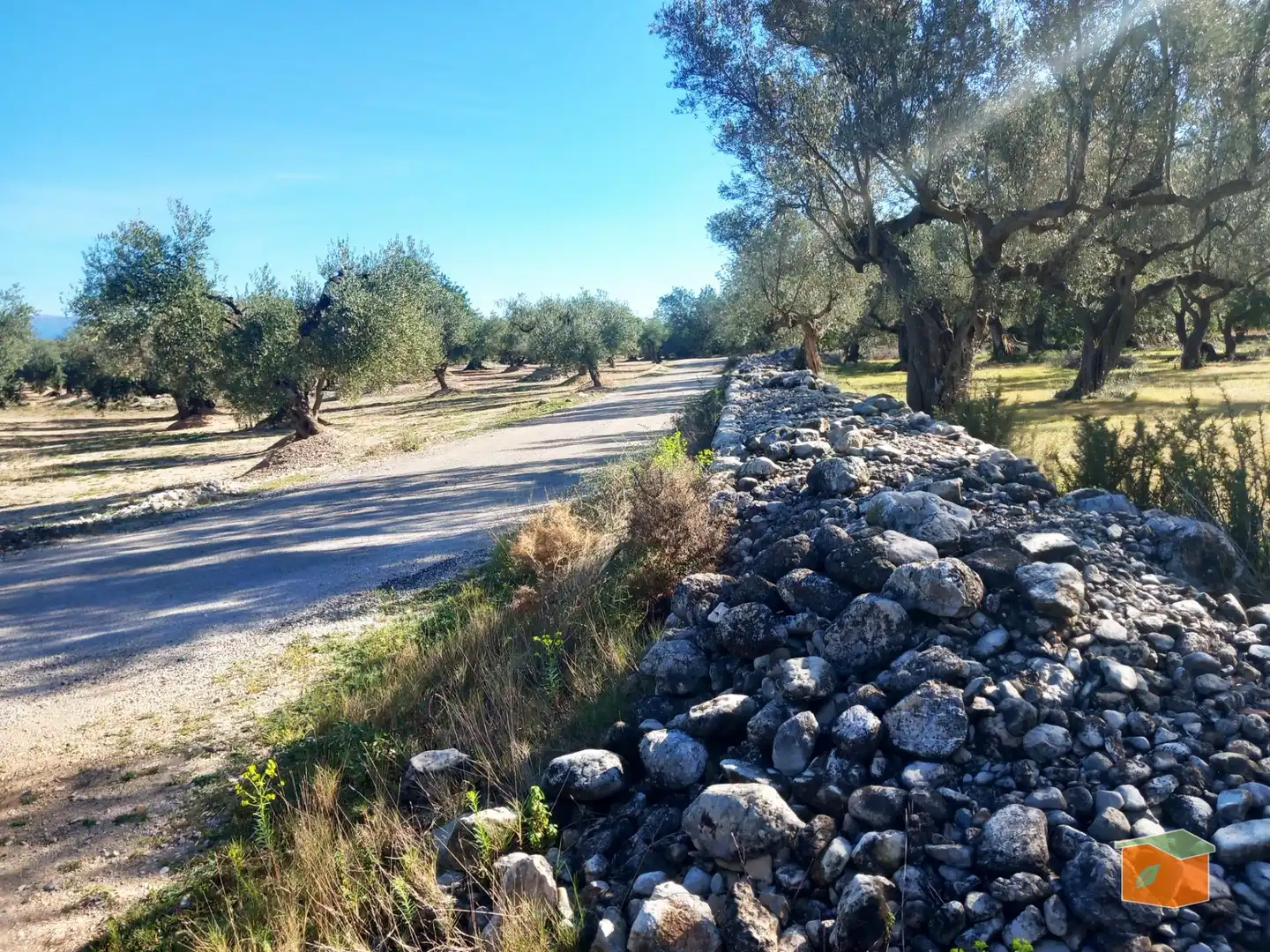 Terreno rustico in vendita a Mas de Barberans, imagen 24