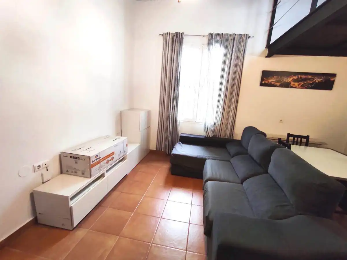 Sala d'estar de Finca rústica de lloguer en Málaga amb Aire condicionat, Jardí privat i Moblat