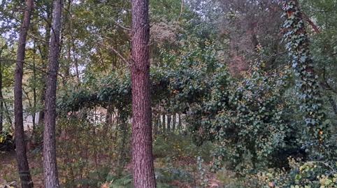 Foto 2 de Terreno en venta en Ou-102, 4, Paderne de Allariz, Ourense