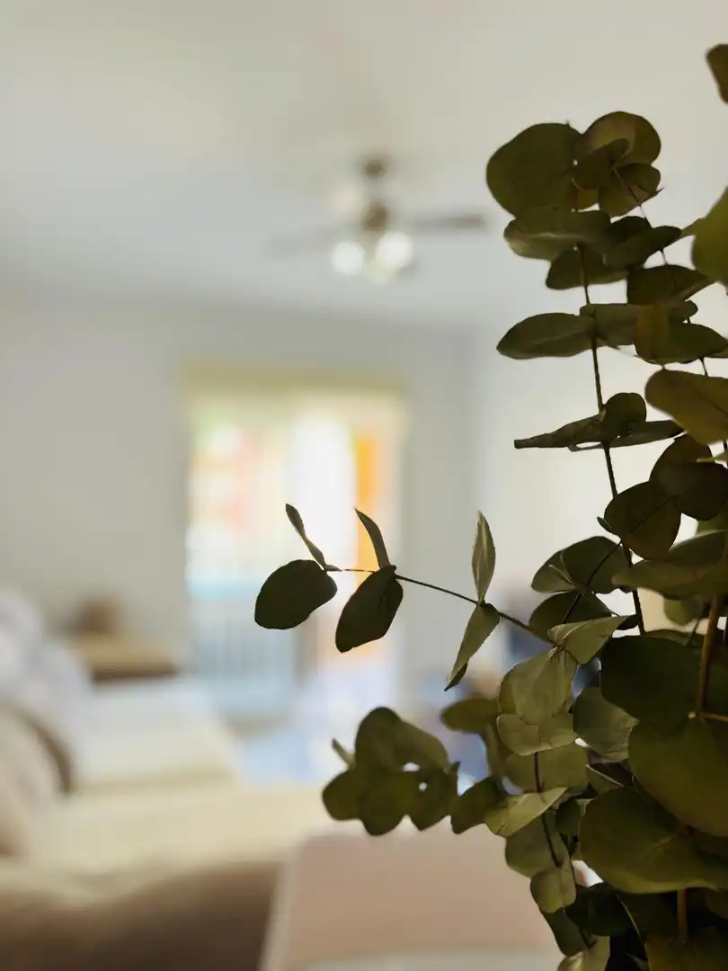 Garden of Ground floor for rent in Los Alcázares  with Air Conditioner, Terrace and Furnished