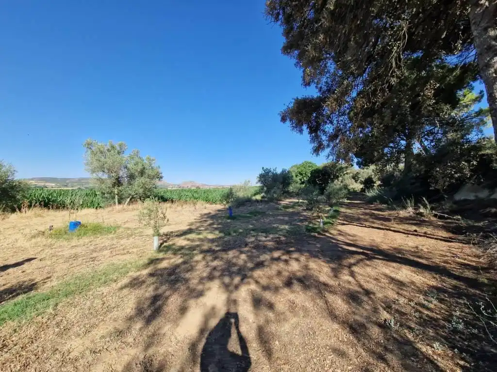 Terreno en venta en Binaced