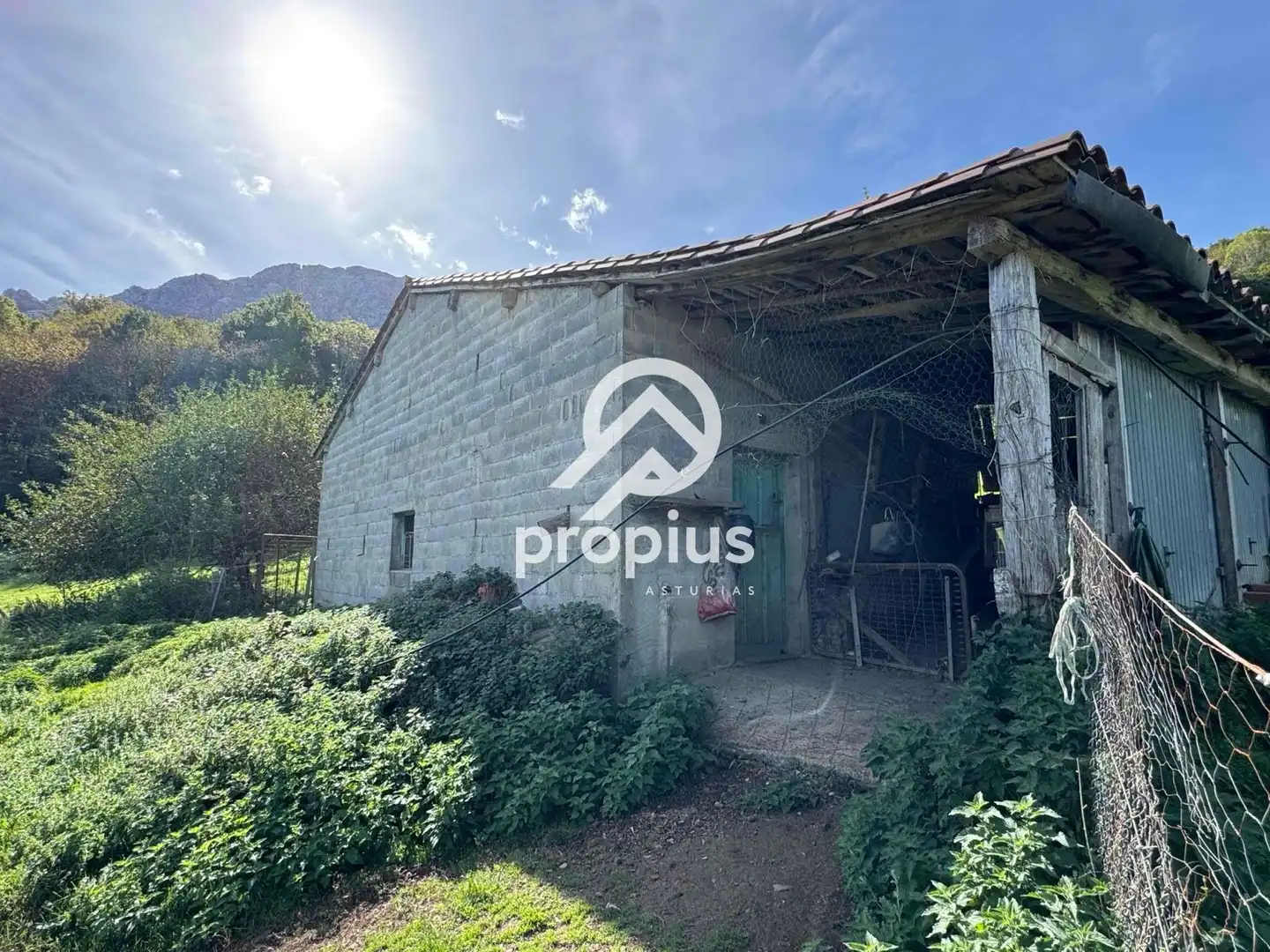Rural land for sale in Inguanzo, imagen 9