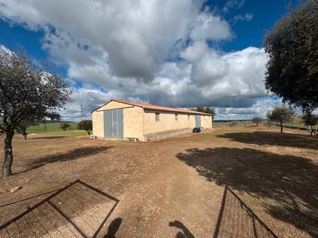 Nave industrial en Venta en Calle Ancha, 11 en Bernardos