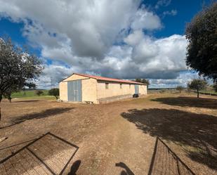Industrial buildings for sale in N/A, -1, Bernardos