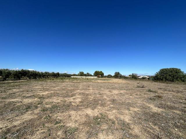 Terreno residencial en Venta en L Trasversal en Griseras - Gardachales