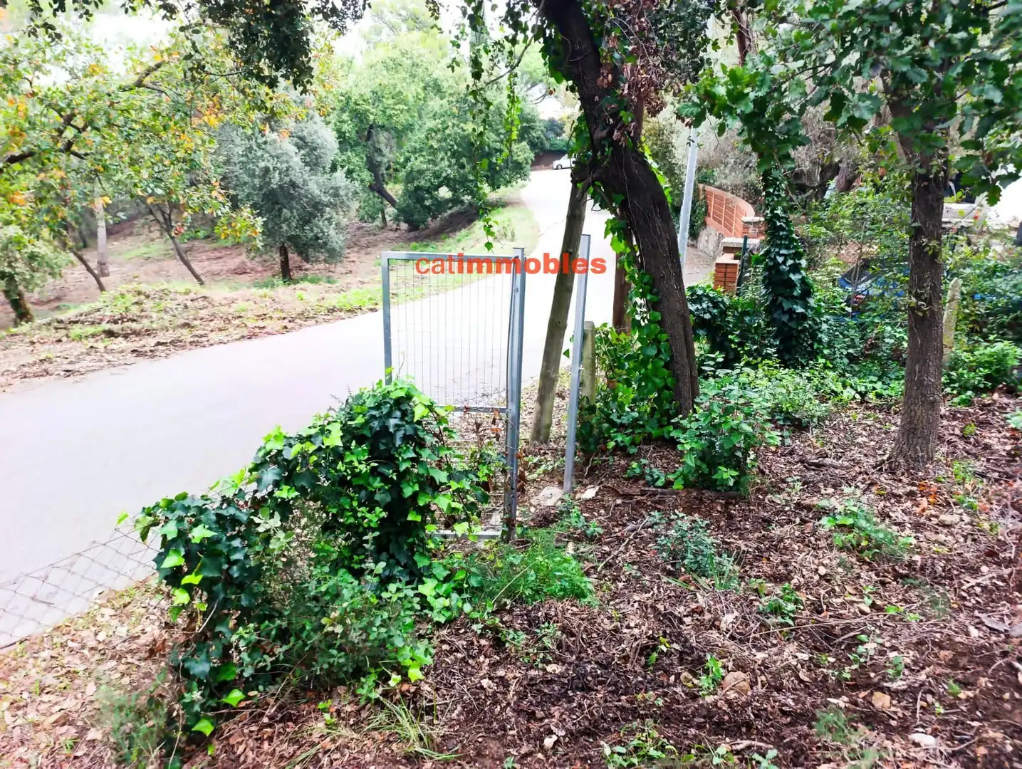 Terreny residencial en venda a Rosa Mariné, imagen 9