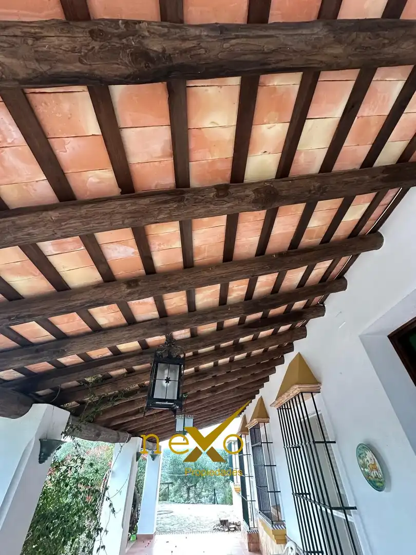 Terrassa de Finca rústica en venda en Las Navas de la Concepción amb Jardí privat, Piscina i Moblat