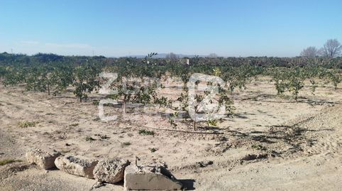 Finca Rustica  Venta Algemesí, imatge 4