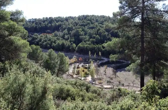 Rural land for sale in Torremanzanas / La Torre de les Maçanes, imagen 16