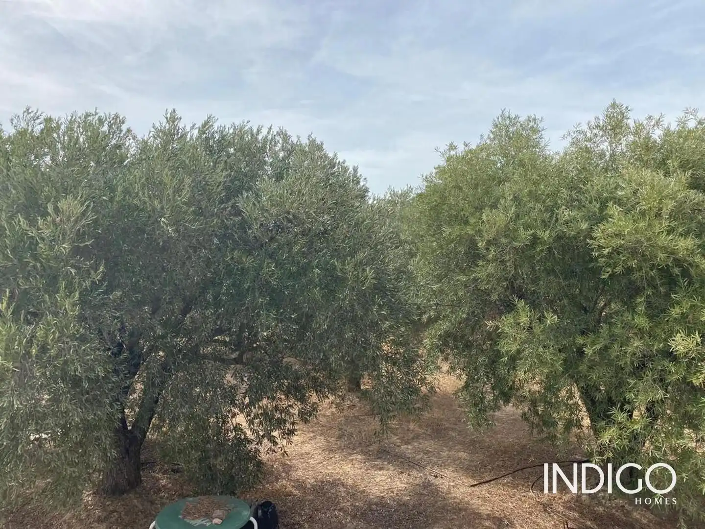 Casa o chalet en venta en Raspeig Polig, Villamontes - Boqueres