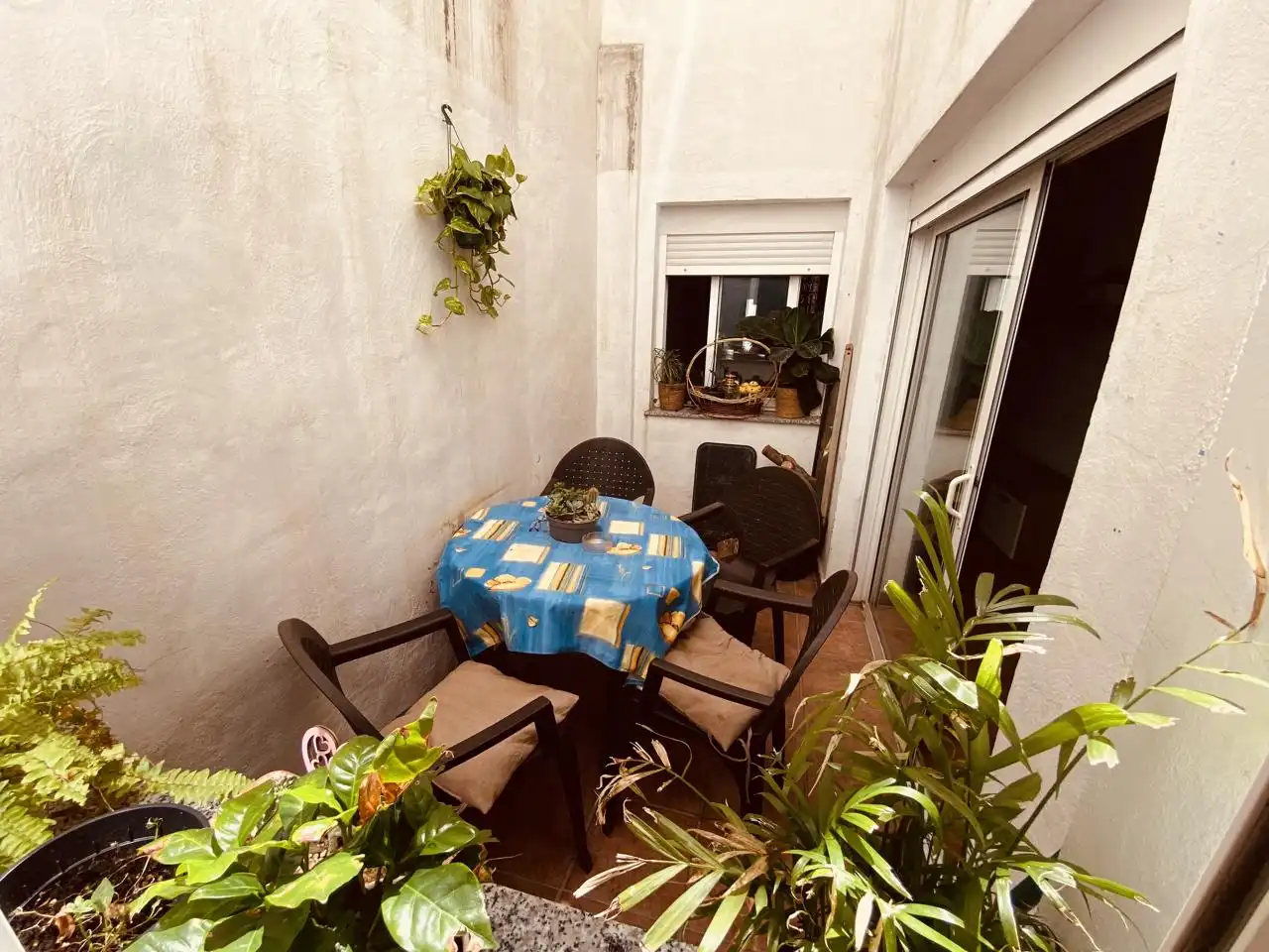 Terrassa de Casa o xalet en venda en Oliva amb Terrassa