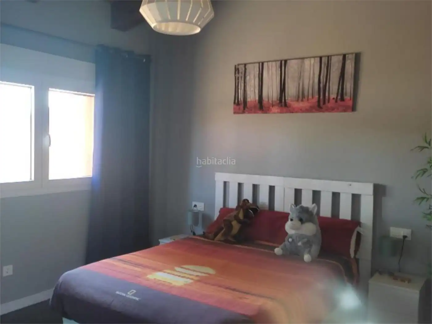 Casa in vendita a Calle Avellano 9, imagen 12