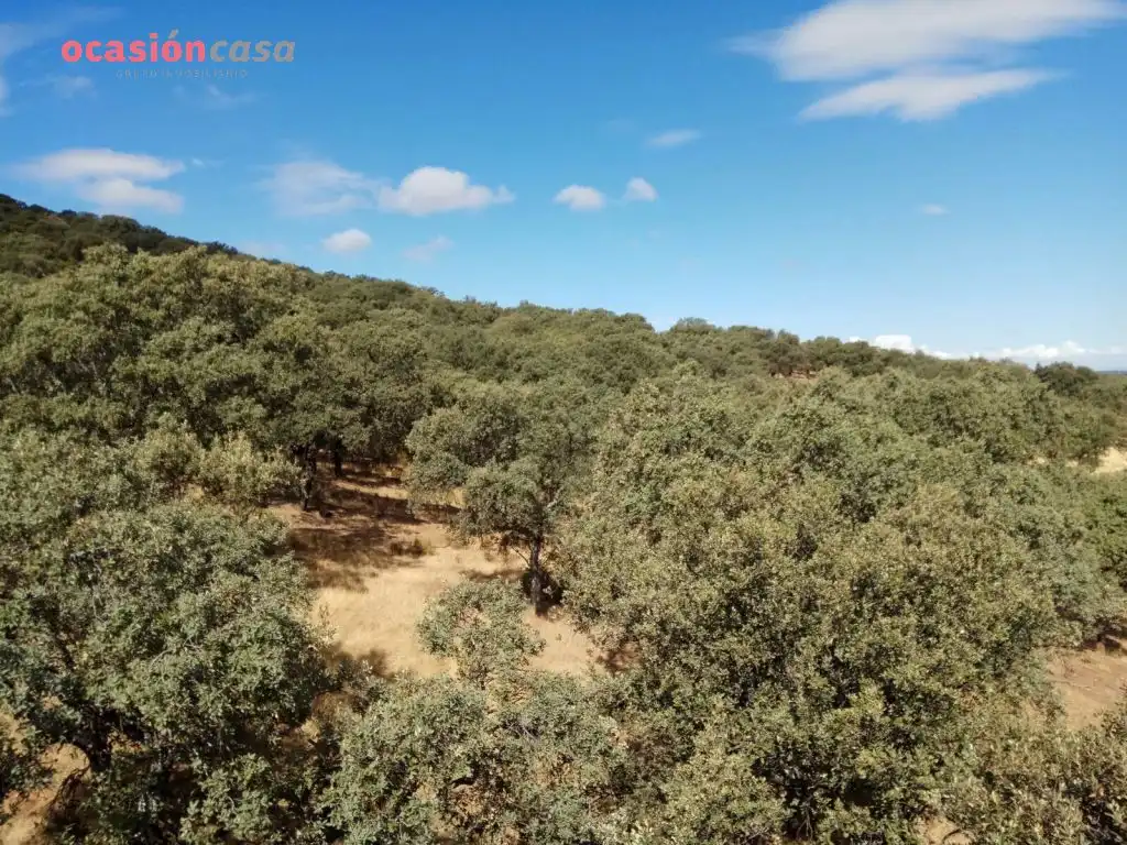 Finca rústica en venda en Villanueva del Duque