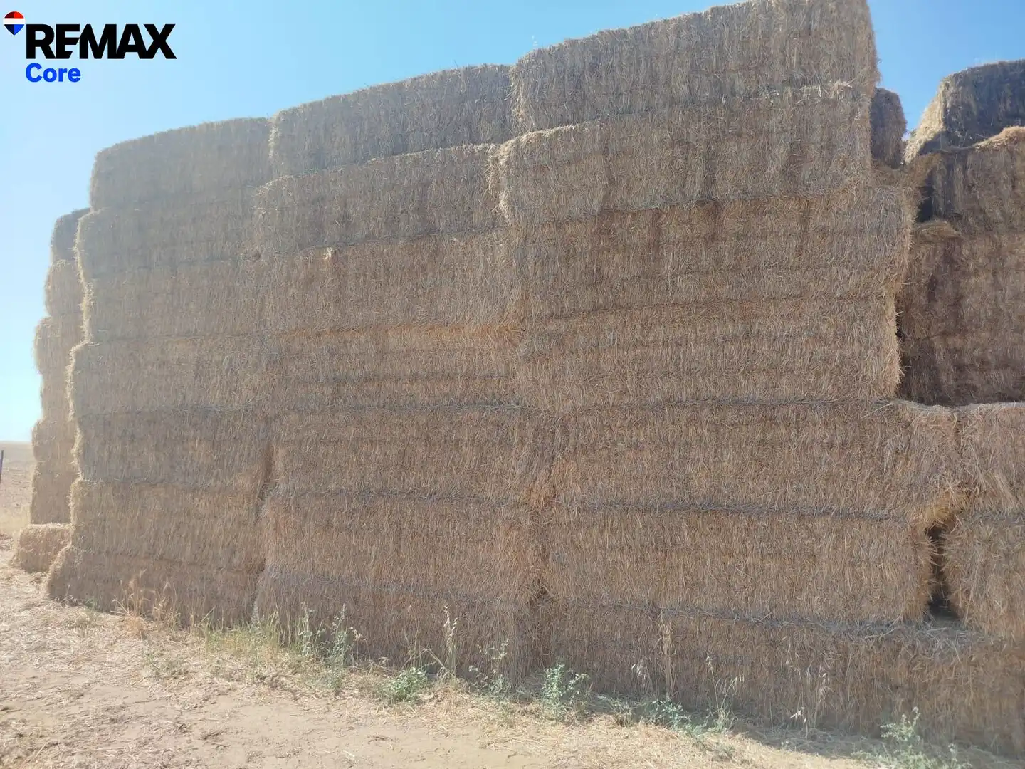 Exterior view of Land for sale in Valencia de las Torres