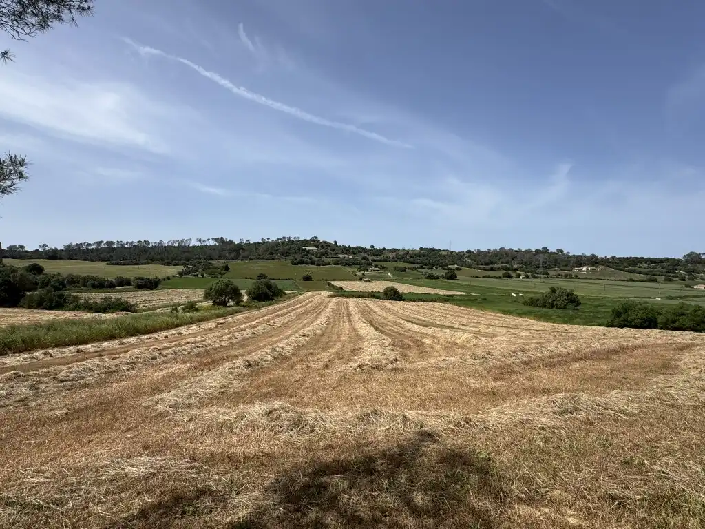 Terreny rústic en venda a Sineu, imagen 14