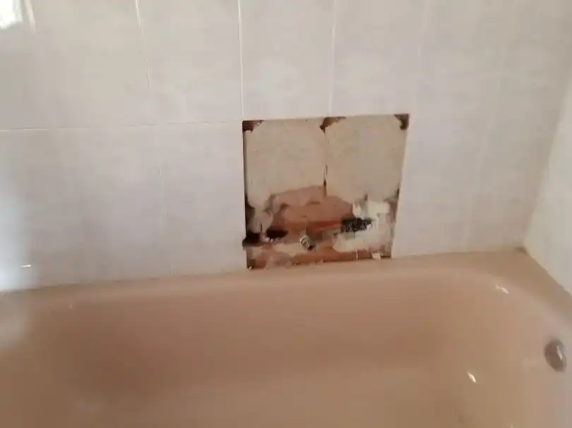 Bany de Pis en venda en Cobisa amb Jardí privat, Parquet i Terrassa