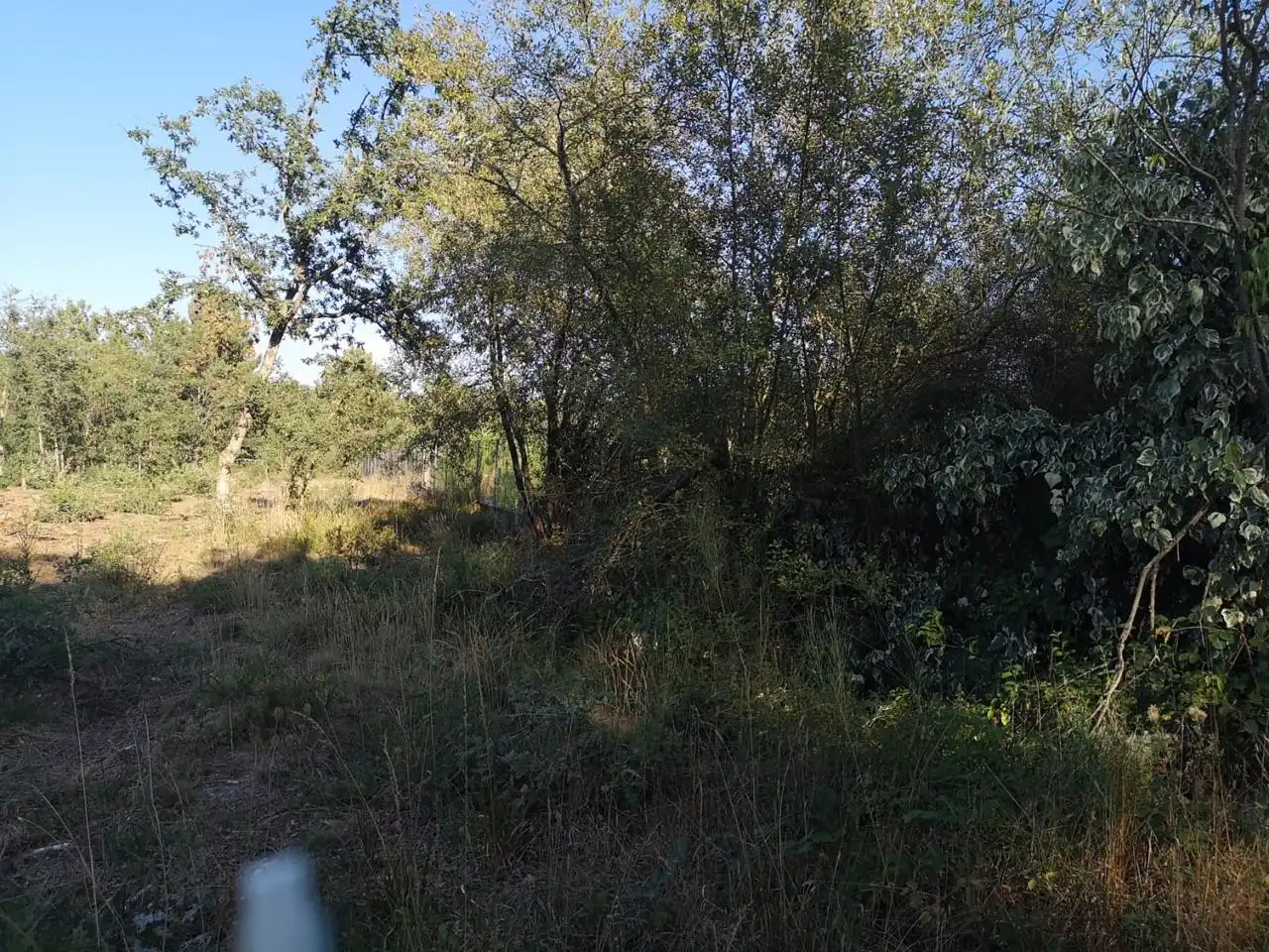 Terrenys i solars en venda a O Pereiro de Aguiar, imagen 11