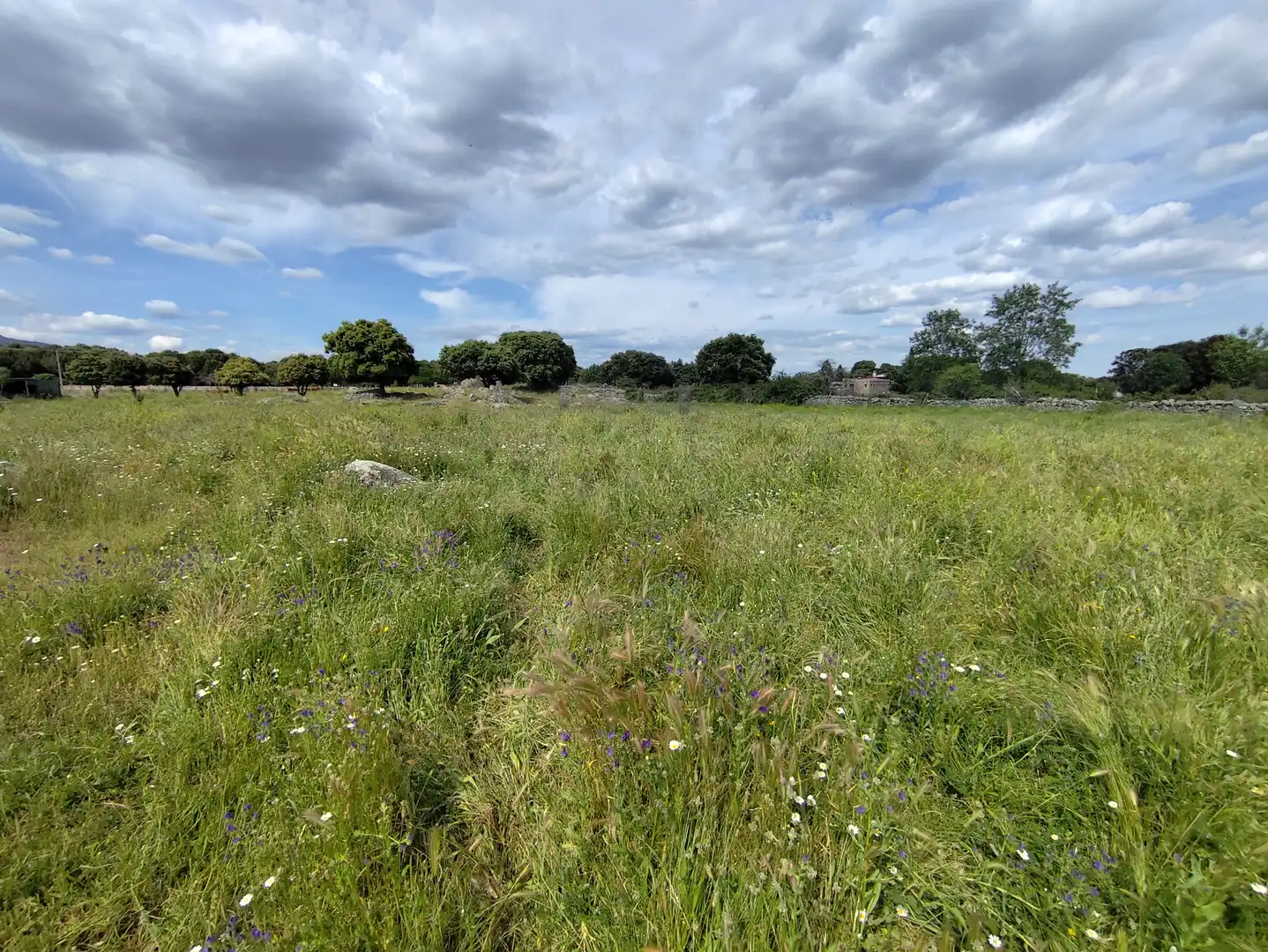 Terreno industrial en venta en Zarzalejo