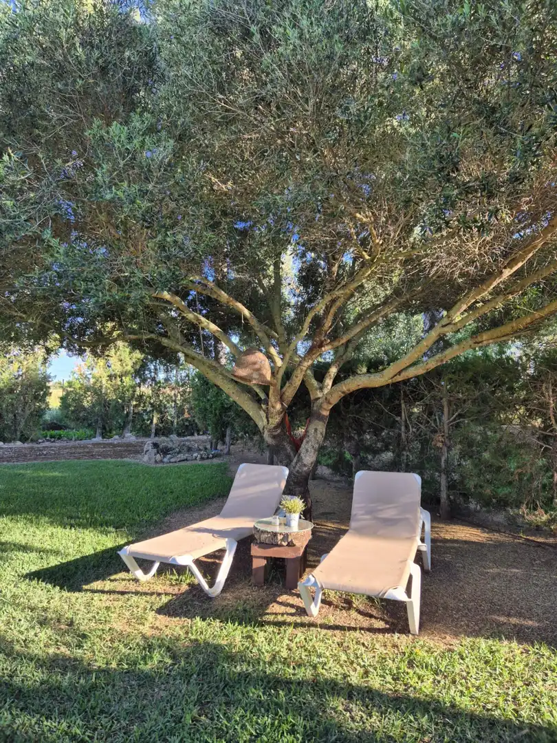 Jardín de Casa o chalet de alquiler en Sa Pobla con Calefacción, Jardín privado y Terraza
