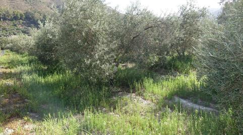 Photo 2 of Country house for sale in Órgiva, Granada