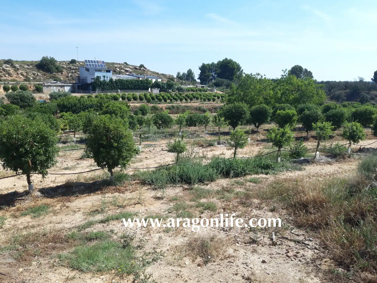 Finca rústica en venta en Caspe con Amueblado