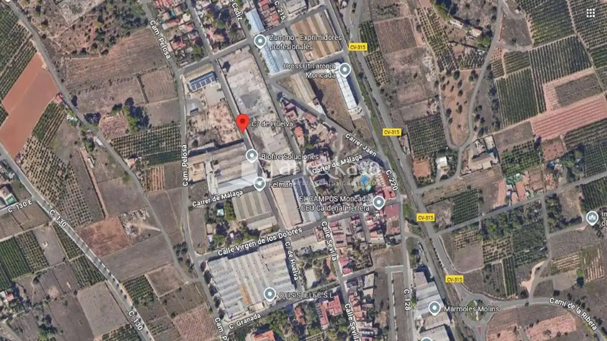 Exterior view of Industrial land for sale in Moncada